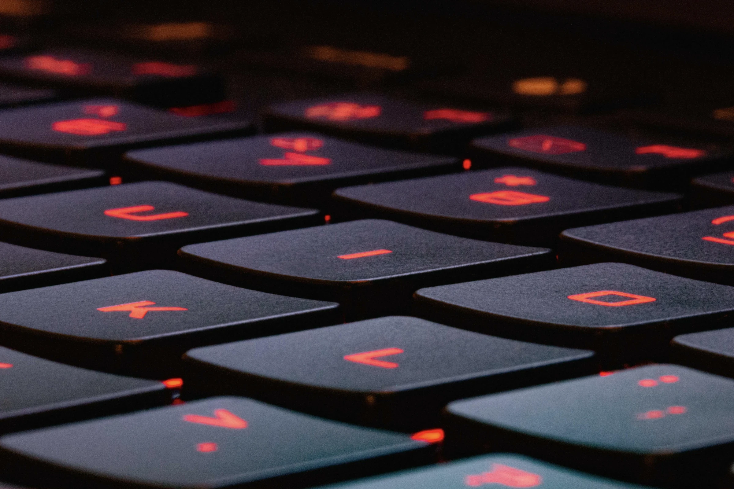 Dominique Knobben Unsplash